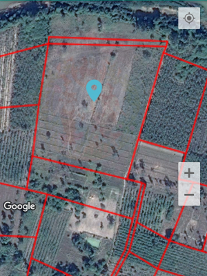 ขายที่ดินผืนสวยราคาถูก อ.คำตากล้า จ.สกลนคร 30-2-81 ไร่ละ 6.5หมื่นบาท