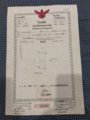 ขายที่ดินสวยราคาถูก อ.เขาวง จ.กาฬสินธุ์ 11 ไร่ 2 งาน 18 ตรว. ใกล้โรงเรียนบ้านโพนสว่างบรรยากาศดีเดินทางสะดวกสบาย