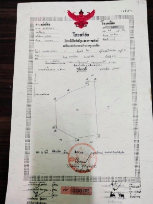 ขายที่ดินราคาถูกที่สุดห่างจากเซเว่นตำบลเกาะกลางเพียง 2.4 กม.
