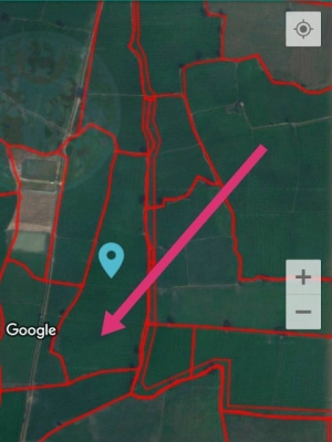 ขายที่ดินสวยราคาถูกที่สุด อ.บ้านหมอ จ.สระบุรี 16 ไร่ 3 งาน 36 ตรว.