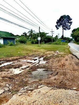 📢💥ที่ดินราคาถูกติดถนนลาดยางงานละ325,000บาทใกล้ตลาดสดซำสูงจ.ขอนแก่นใกล้โรงเรียนเหมาะสร้างบ้านอยู่อาศัยหรือทำธุรกิจสนใจติดต่อเจ้าของตามเบอร์ท้ายประกาศ📢💥