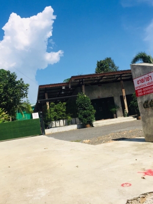 ขายที่ดินพร้อมสิ่งปลูกสร้างราคาถูกอ.หาดใหญ่ใกล้ตลาดสดบ้านพลุห่างจากธกส.สาขาบ้านพลุ320เมตรการเดินทางสะดวกสบายเหมาะแก่การทำธุรกิจ