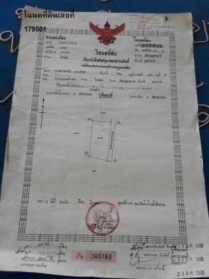 ขายที่ดินอ.เมืองอุดรธานีราคาถูก พื้นที่3ไร่ที่ดินสวยราคาถูกใกล้หมู่บ้านจัดสรรห่างจากถนนใหญ่มิตรภาพ 2.1กม.บรรยากาศดีเดินทางสะดวก