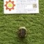 TEND : ILL.PB. 19mm. TT19-ML7G1 สีเขียว 24V