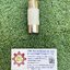 PTEN : ลูกฟิวส์ 22x58mm. 50A (AF-22)