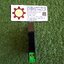 MURR Elektronik : OPTO-COUPLER MODULE Model : 50040