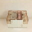 FOTEK : Fuse: 10A SSR-F-10DA-H