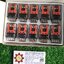 OMRON : Relay MY4-GS coil 24VDC