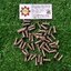 TOPWELD : Stainless Steel Bolt For Support T-BS26 Stainless Steel Bolt Taper Head size 1/4" x 3/4"