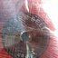 SHINOHAWA : Alarm bell CB-8B 8" 75-85db DC24V