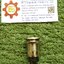 TEND : ILL.PB. 19mm. TT19-ML7G1 สีเขียว 24V