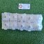 PNEUMAX : Compact cylinder 1501.40.20.1